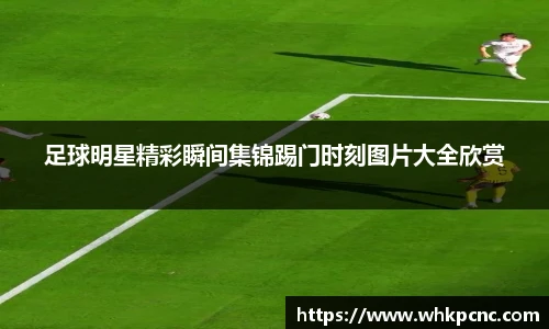 足球明星精彩瞬间集锦踢门时刻图片大全欣赏